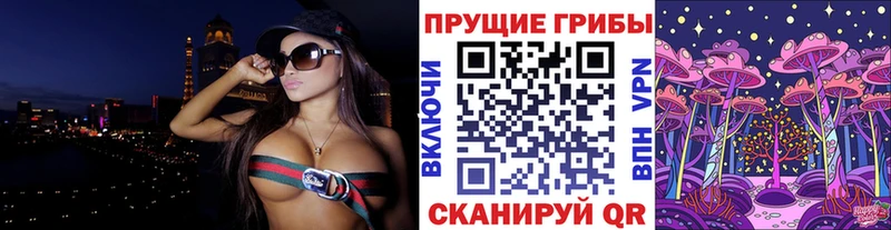 магазин продажи   Томск  Псилоцибиновые грибы MAGIC MUSHROOMS 